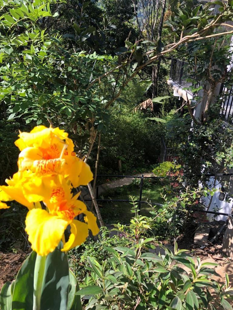 Pepper Garden Resort エッラ エクステリア 写真
